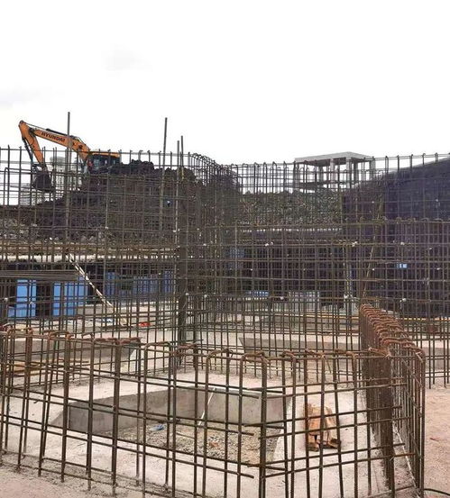 整體景觀月底將初現 楊浦這座在建城市公園有新進展